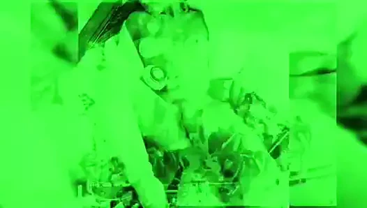 Dağ tavşanı pmv avlıyor