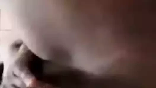 KEDİ parmak önce duş