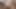 Amber rayne teaser 38