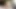 Transex POV: Summertime Sex!