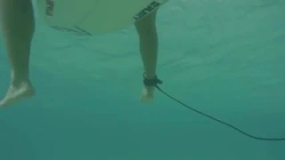 Kadın Avustralyalı sörfçü anastasia ashley var minyon ganimet