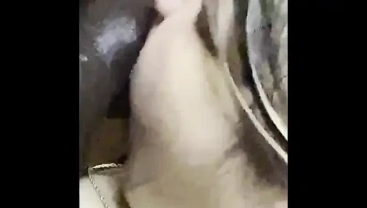 Bu büyük siyah yarağı ıslak amcığıma sokmadan önce yarak emiyor