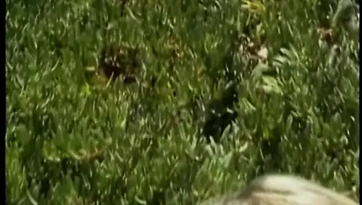 Bronz tenli, sarışın lezbiyenler kum tepelerinde birbirlerinin amlarını oynuyor