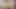 Groobyvr: Alexa Scout yarağına oturuyor!