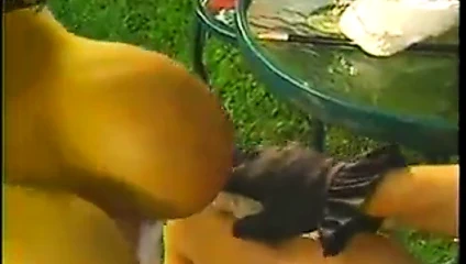 2 büyük baştankara lezbiyenler içinde eylem açık havada