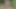Milf dp ve yüz