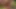 Private.com - seksi alexa flexy kıçına senin boşalmanı istiyor!