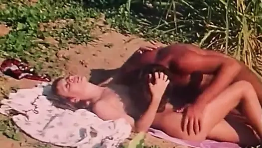 Baharatlı civcivler farklı yerlere girdi (1970'lerin vintage)