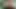 Birinci şahıs anal