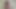 Shantalknowless 21.01.23