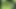 Güzel bir ork kızına oral seks yapıyor