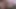 DarkShine (opm) x bonney (op)