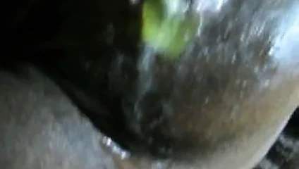 karısı iterek dışarı boşalmak ve sakızlı kelebekler şeker