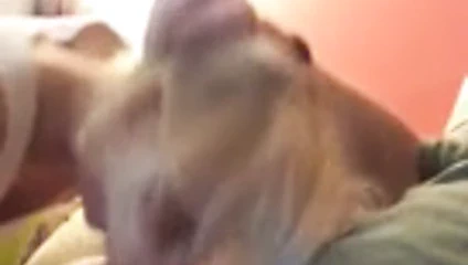 Çek sürtük yvona itibaren olomouc 3