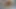 Çıplak Yağlanmış Solo Göt Tıkacı Göt Dildo Sikiş Yağlanmış Ayakları Patlayıcı Boşalma