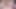 Futa grup - dickgirls erkek sikikleri