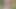 The brother-in-law took the sister-in-law to the forest on the pretext of roaming
