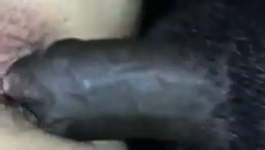 Benim fahişe beyaz kedi gibi benim bbc