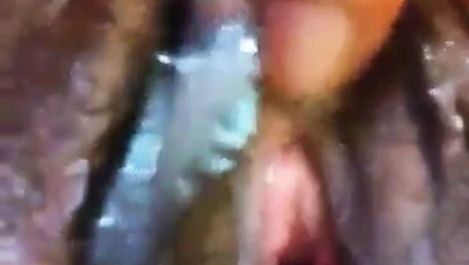 Ne ıslak bir kedi görmeli