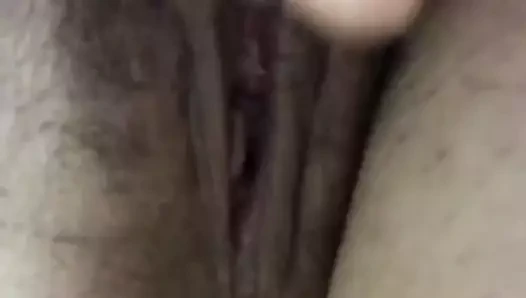 oynama ile kıllı KEDİ