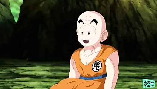 Andriod 18 ve krillin ilk randevusu