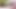 IMG 3706+.MOV