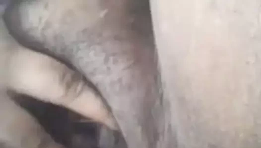 kahverengi civciv 38