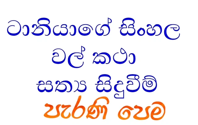 Sinhala wela katha – gerçek hikaye, eski erkek arkadaşımla yanlışlıkla tanışmak