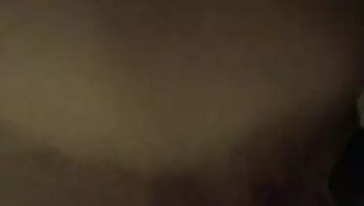 Sıcak beyaz civciv için benim siyah horoz