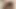 Yarak emiyor dildo emiyor amcığını tuvalette sikiyor