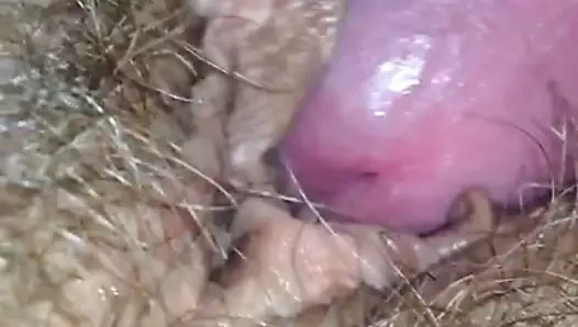 Karımın kıllı amındaki horozum