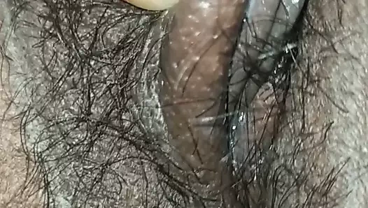 Cum üzerinde bbw kedi