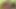 Seksi genç kız Riley Reid erkek kardeşinin arkadaşıyla sikişiyor