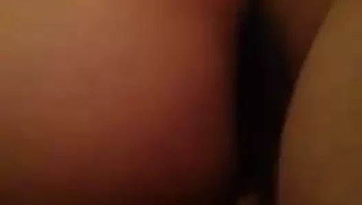 Trans Dijana