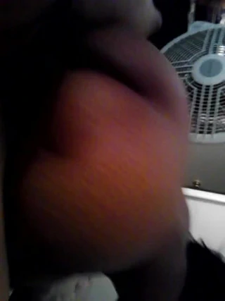 Sheila çalı - arkadan