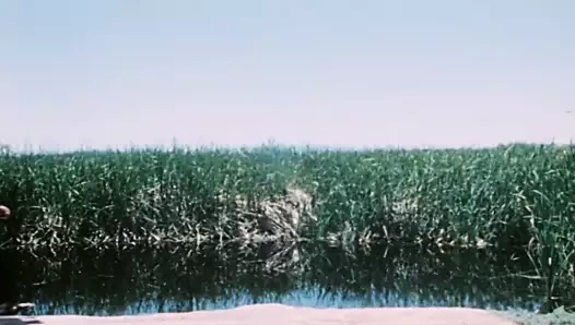 seksoristler şeytan