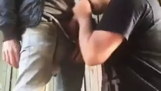 halka açık yer