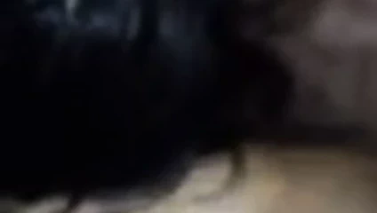 besando a mi novio mientras mi esposo me coge