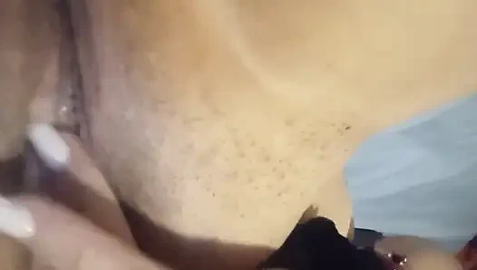 Kedi