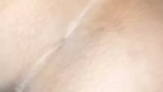 Lipi kahrolası köpek stili