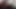 Don Gresopio'nun Ayaklarını Tapıyor 1