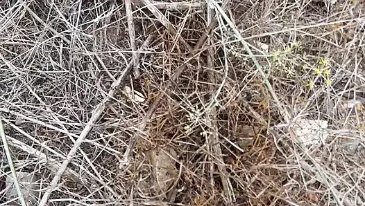 Taşın üstüne işiyor