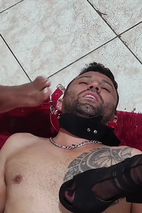 Dominatrix hakimiyeti yüze oturma hakimiyeti