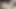 Step Father's Day. Stepdad fucks his stepdaughter,  and ends up cumming inside her when her cuckold mother is not at home