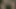 Seksi esmer kızlar birbirlerini parmaklıyor
