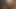 Siyah4k. yaramaz kız onu kedi büyük siyah horoz hissetmek istiyor