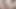 Tracer Overwatch anal çoraplı ayak derlemesi