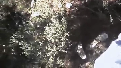 Açık üçlü harika güzel yunan bayan