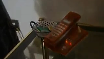 calore içinde Le gatte