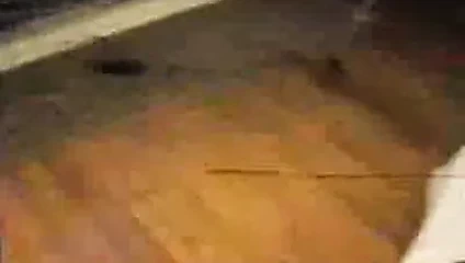 amatör hamile MİLF alır etiket teamed